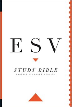 ESV Study BIble face out.jpg