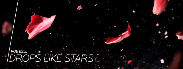 drop like stars banner.jpg