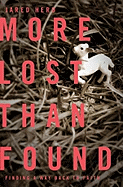 more lost than found.gif